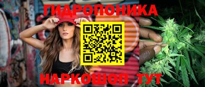 мдпв Краснодар
