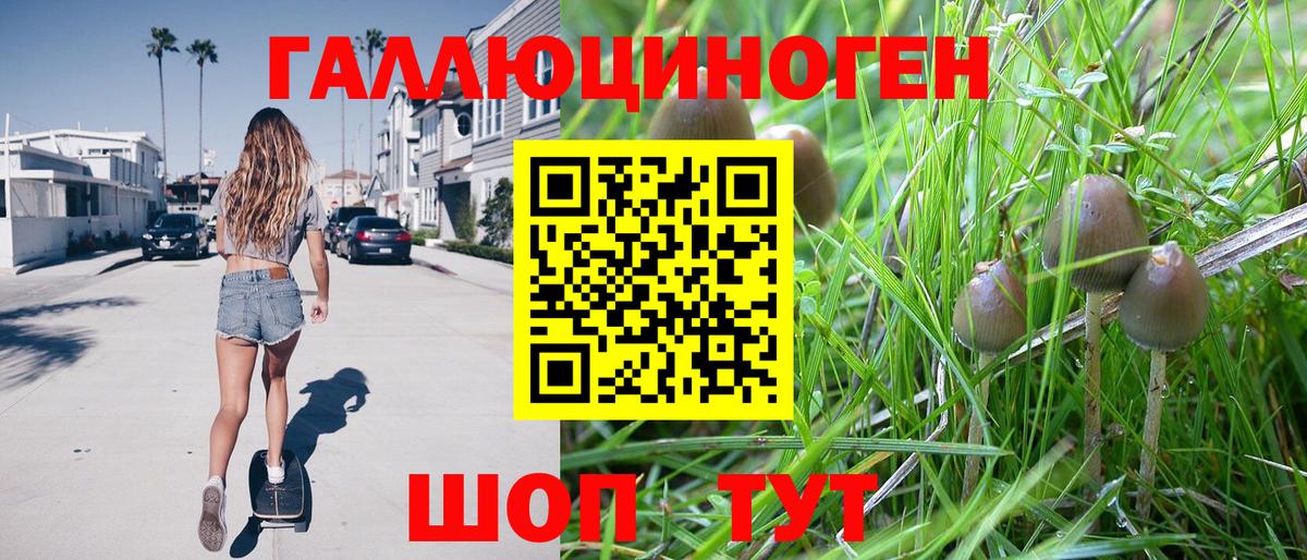 Псилоцибиновые грибы GOLDEN TEACHER  Вход с VPN  Псилоцибиновые грибы прущие грибы  Ярцево 