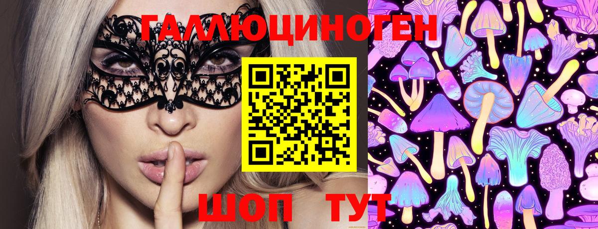Галлюциногенные грибы Psilocybe Ярцево