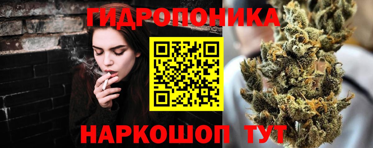 Канабис сатива Ярцево